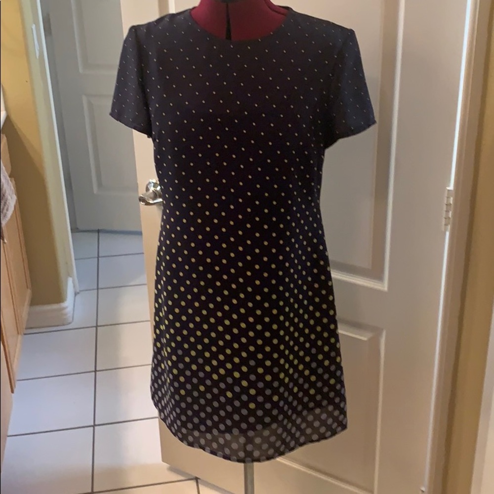 Mini blue lined sheath with dots